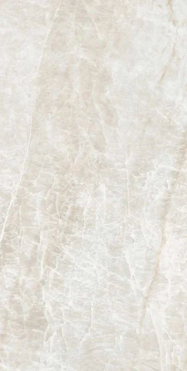 Kraken 12x24 Matte Porcelain Tile