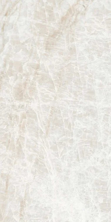 Kraken 12x24 Matte Porcelain Tile