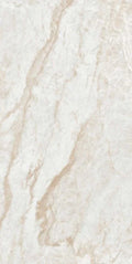 Kraken 12x24 Matte Porcelain Tile