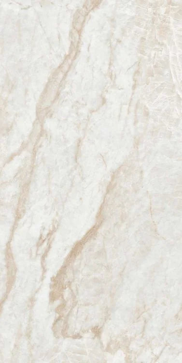 Kraken 12x24 Matte Porcelain Tile