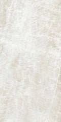 Kraken 12x24 Matte Porcelain Tile