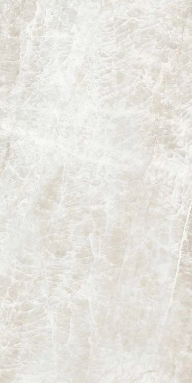 Kraken 12x24 Matte Porcelain Tile