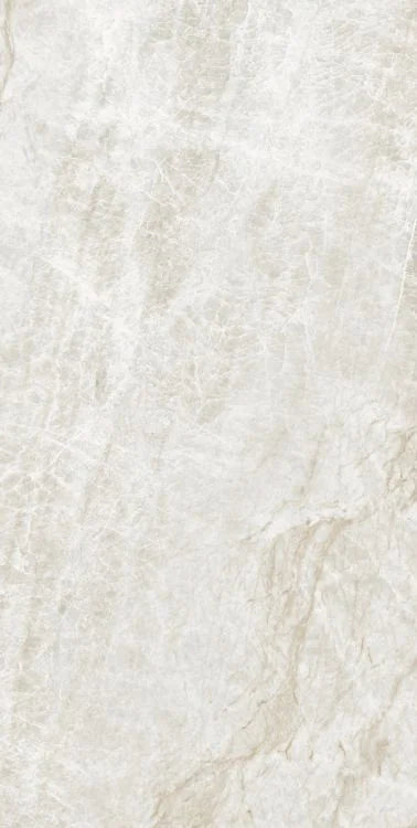 Kraken 24x48 Matte Porcelain Tile