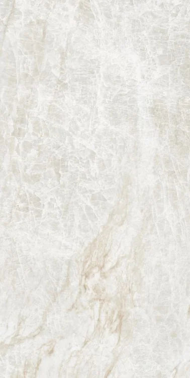 Kraken 24x48 Matte Porcelain Tile