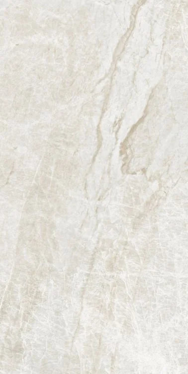 Kraken 24x48 Matte Porcelain Tile