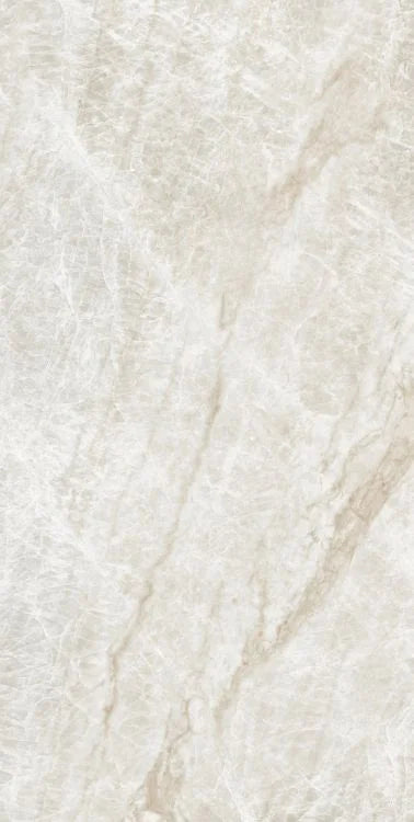 Kraken 24x48 Matte Porcelain Tile