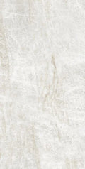Kraken 24x48 Matte Porcelain Tile