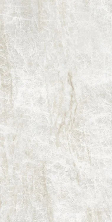 Kraken 24x48 Matte Porcelain Tile
