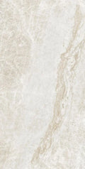 Kraken 24x48 Matte Porcelain Tile