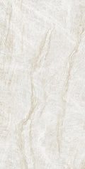 Kraken 24x48 Matte Porcelain Tile