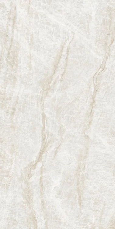Kraken 24x48 Matte Porcelain Tile