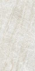 Kraken 24x48 Polished Porcelain Tile