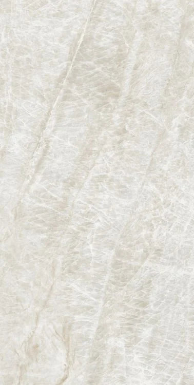 Kraken 24x48 Polished Porcelain Tile