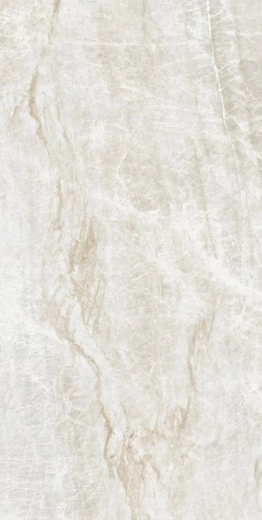 Kraken 24x48 Polished Porcelain Tile