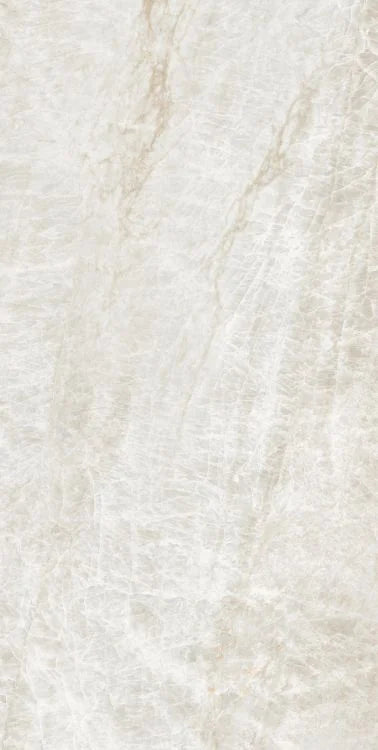 Kraken 24x48 Polished Porcelain Tile