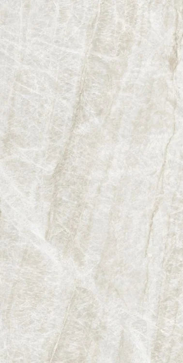 Kraken 24x48 Polished Porcelain Tile