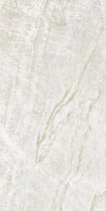Kraken 24x48 Polished Porcelain Tile