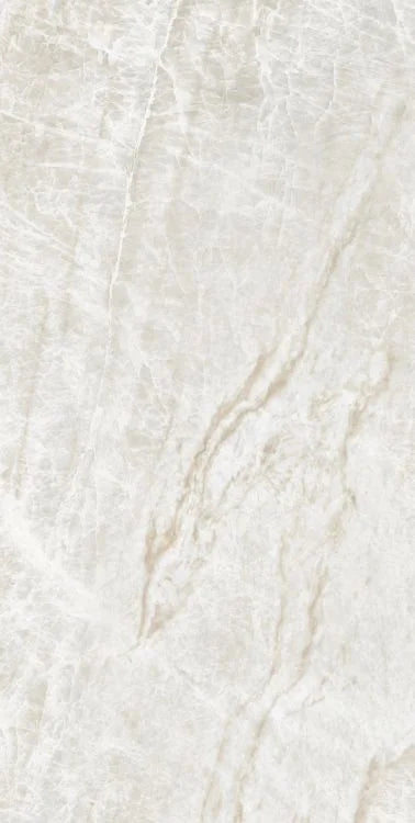 Kraken 24x48 Polished Porcelain Tile