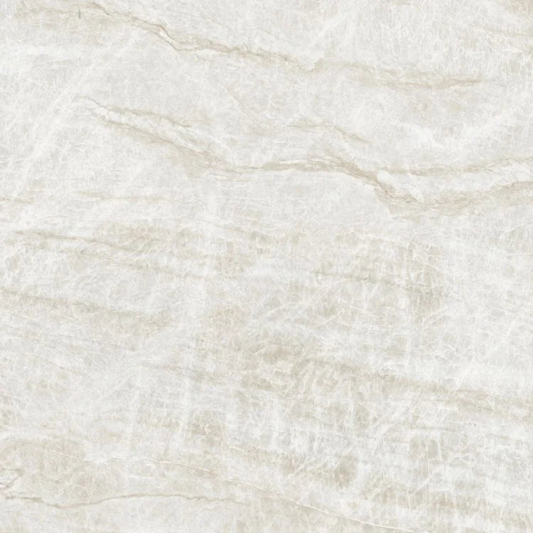 Kraken 48x48 Matte Porcelain Tile