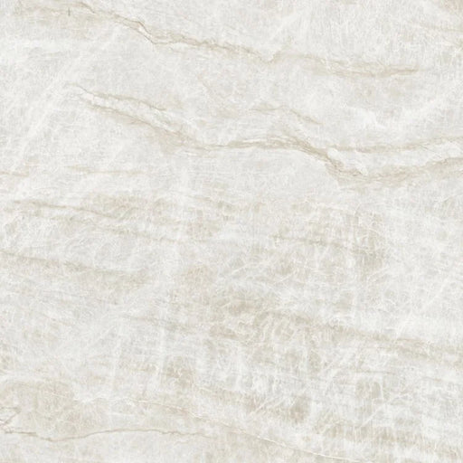 Kraken 48x48 Matte Porcelain Tile