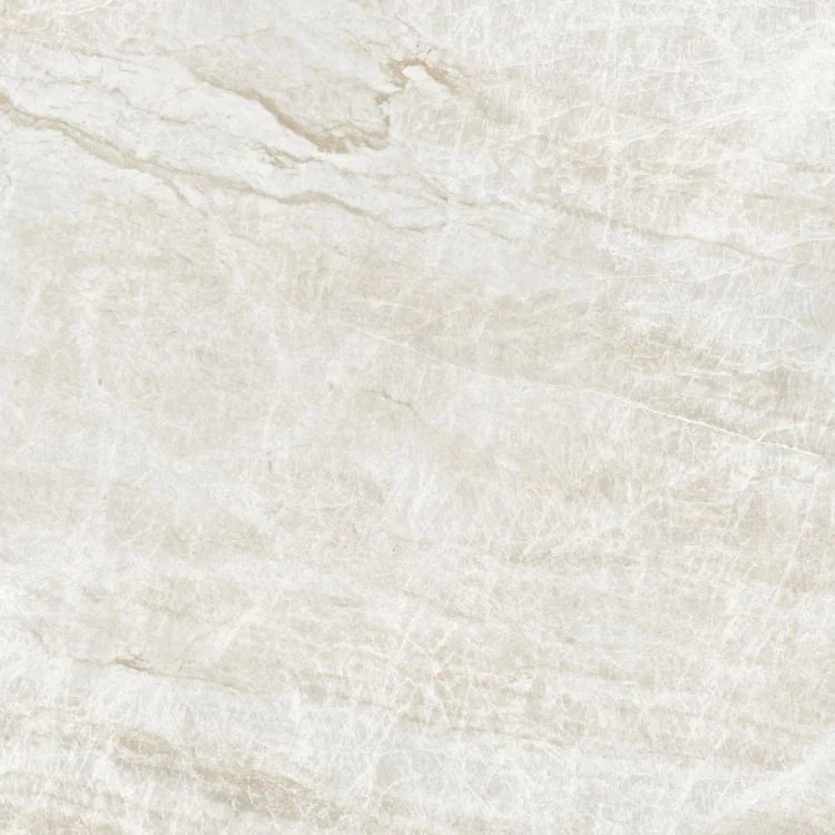 Kraken 48x48 Matte Porcelain Tile