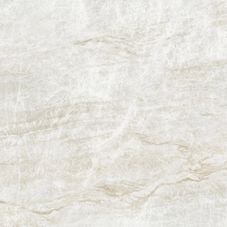 Kraken 48x48 Matte Porcelain Tile