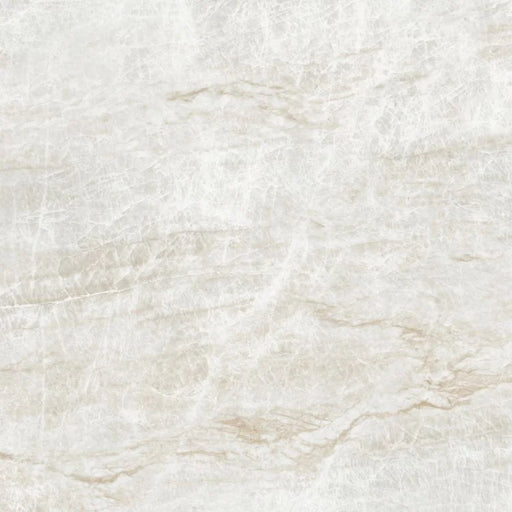 Kraken 48x48 Matte Porcelain Tile