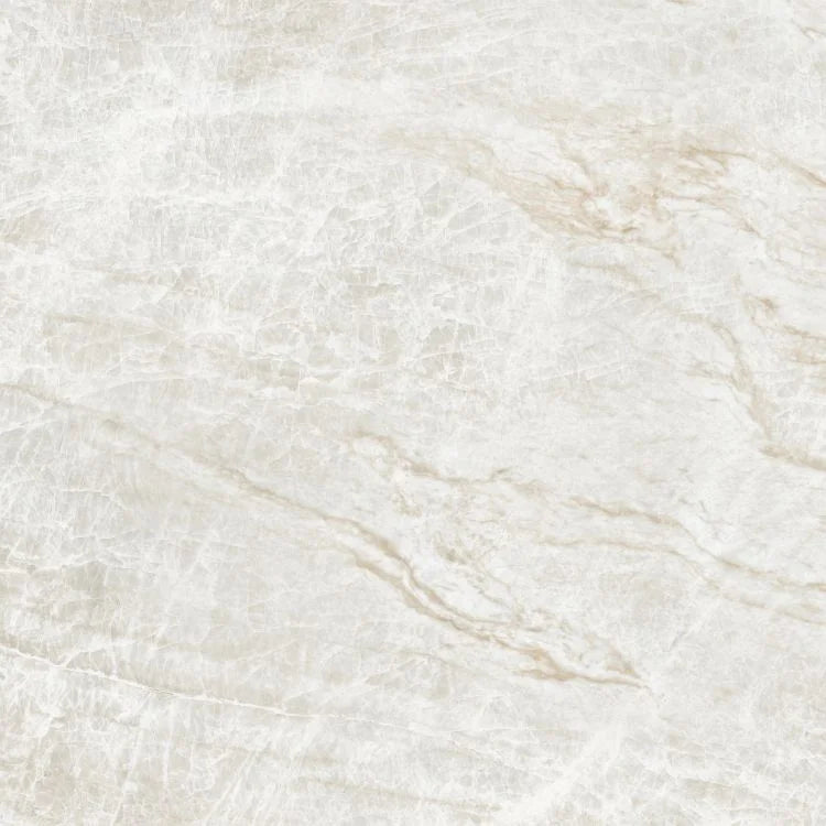 Kraken 48x48 Polished Porcelain Tile