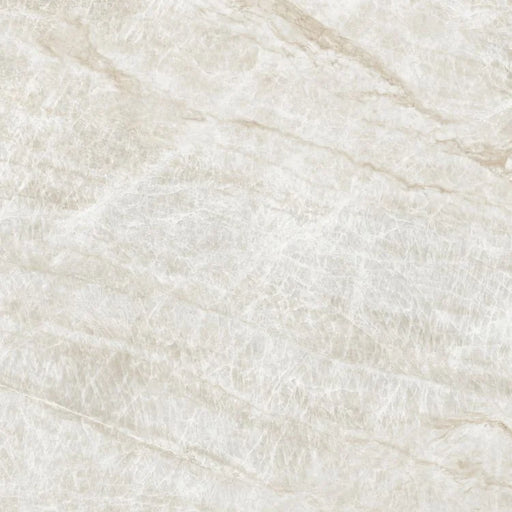 Kraken 48x48 Polished Porcelain Tile