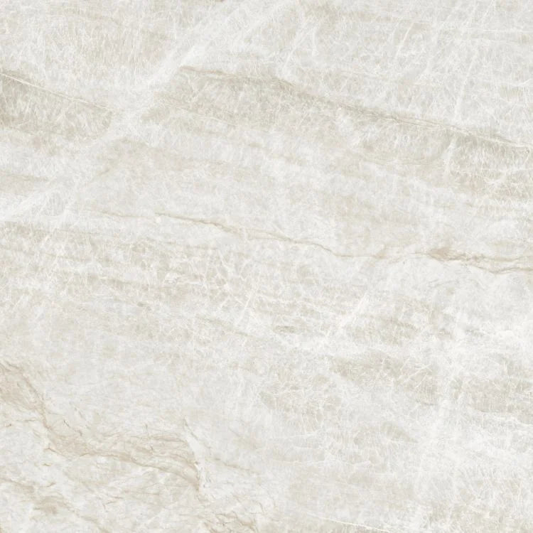 Kraken 48x48 Polished Porcelain Tile