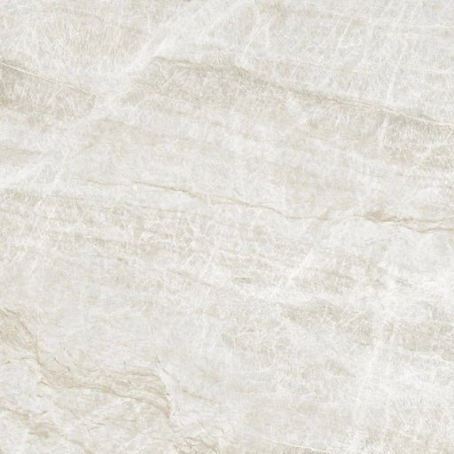 Kraken 48x48 Polished Porcelain Tile