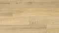 Krono Original Cookie Meadow 12mm 9.65x78.86 AC5 Water Resistant Laminate Flooring