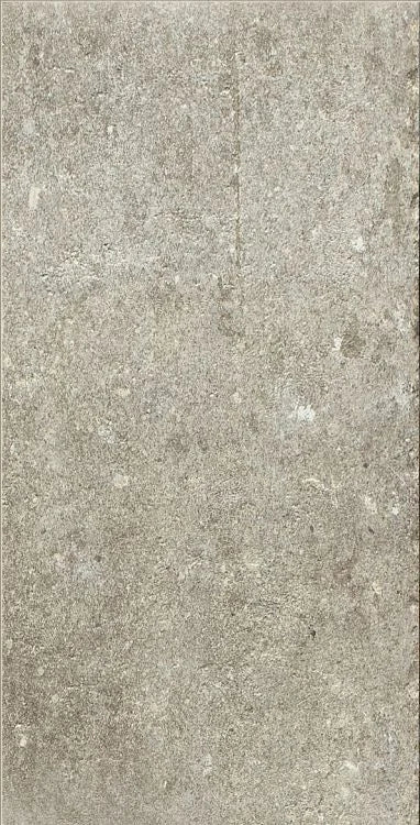 La Roche Ecru 24x48 Porcelain Tile