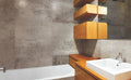 La Roche Grey 24x48 Porcelain Tile