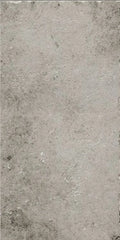La Roche Grey 24x48 Porcelain Tile
