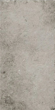 La Roche Grey 24x48 Porcelain Tile