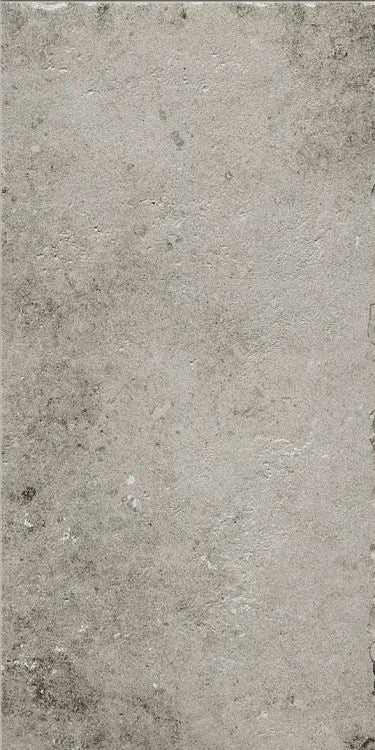 La Roche Grey 24x48 Porcelain Tile