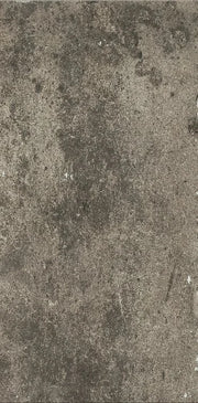 La Roche Mud 24x48 Porcelain Tile