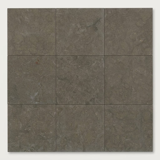 Lagos Blue Limestone Tile 12x12 Honed 3/8 inch close-up