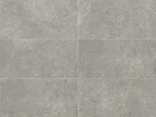 Lagos Concrete 24x48 Matte Porcelain Tile