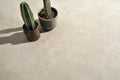 Lagos Ivory 4 Inch Hexagon Porcelain Mosaic
