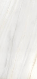 Lasa Argento Print A 60x126 Polished Porcelain Slab