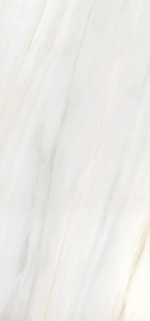 Lasa Argento Print B 60x126 Polished Porcelain Slab