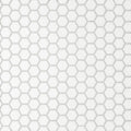 Le Cafe White 11.25x10.25 1x1 Hex Porcelain Mosaic
