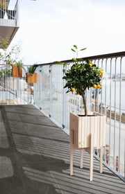 Leccese Cesellata Fossile R11 12x24 Porcelain Tile