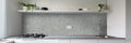 Legions Silver Trav 24x48 Matte Porcelain Paver