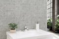 Legions Silver Trav 24x24 Matte Porcelain Paver