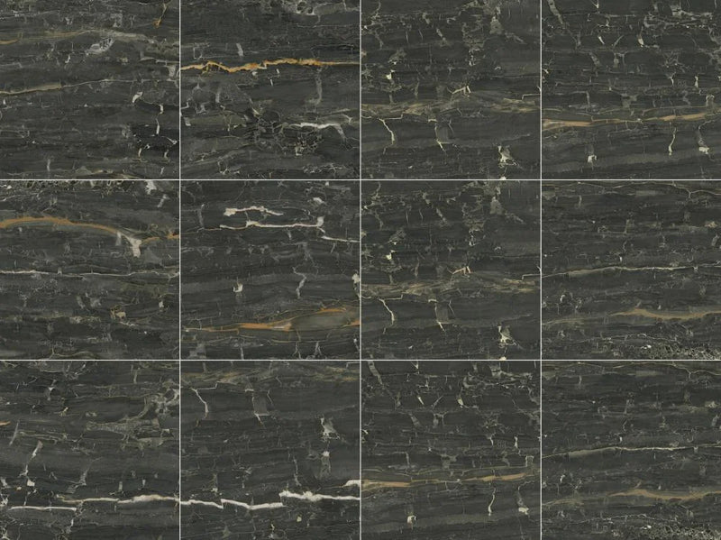 Leonardo Black 23.6x23.6 Porcelain Tile