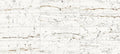 Leonardo White 11.8x35.4 Porcelain Tile