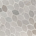 Lilly Pad Misc. Honed 0.38 Inch Limestone Mosaic Tile